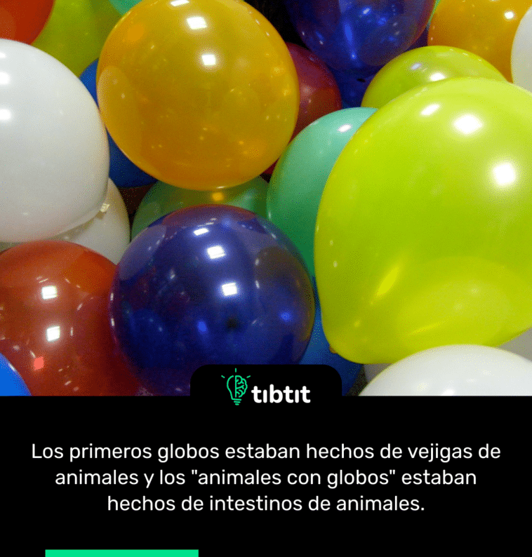 Los primeros globos estaban hechos de vejigas de animales y los "animales con globos" estaban hechos de intestinos de animales.