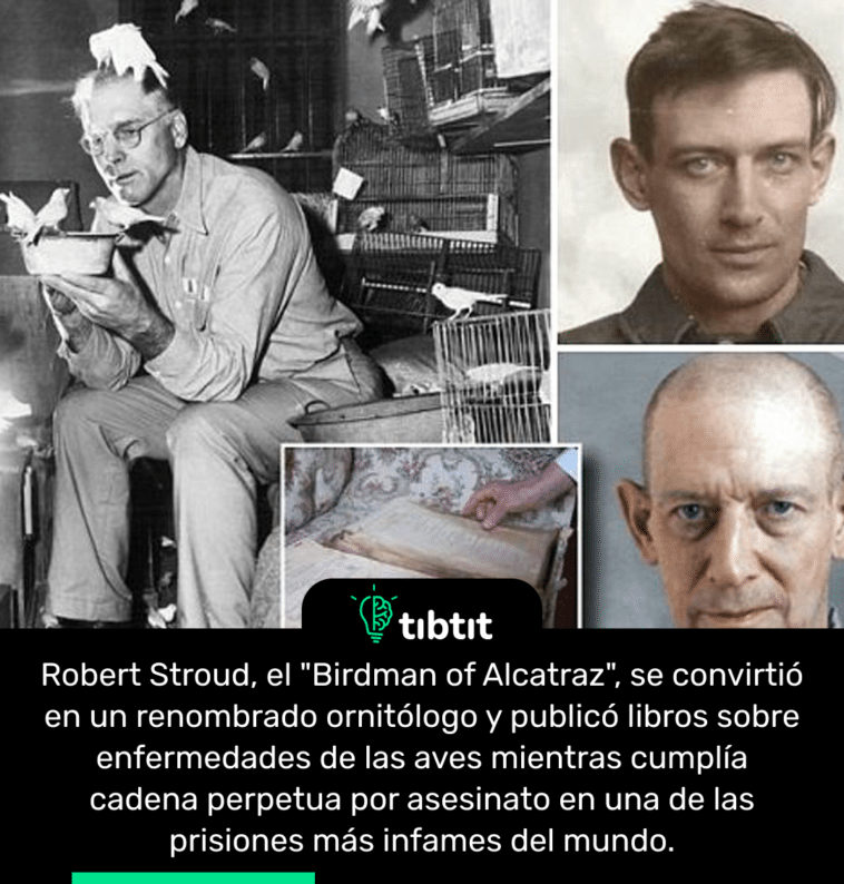 Robert Stroud, el "Birdman of Alcatraz", se convirtió en un renombrado ornitólogo y publicó libros sobre enfermedades de las aves mientras cumplía cadena perpetua por asesinato en una de las prisiones más infames del mundo.