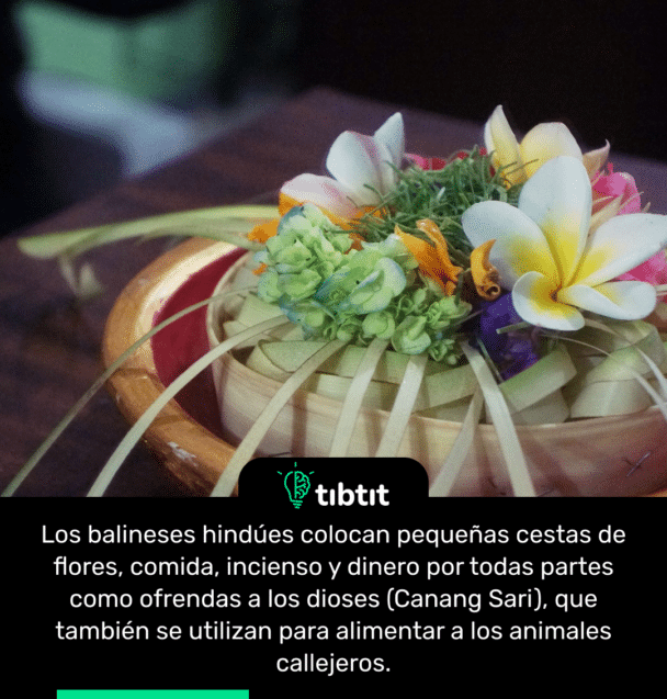 Los balineses hindúes colocan pequeñas cestas de flores, comida, incienso y dinero por todas partes como ofrendas a los dioses (Canang Sari), que también se utilizan para alimentar a los animales callejeros.