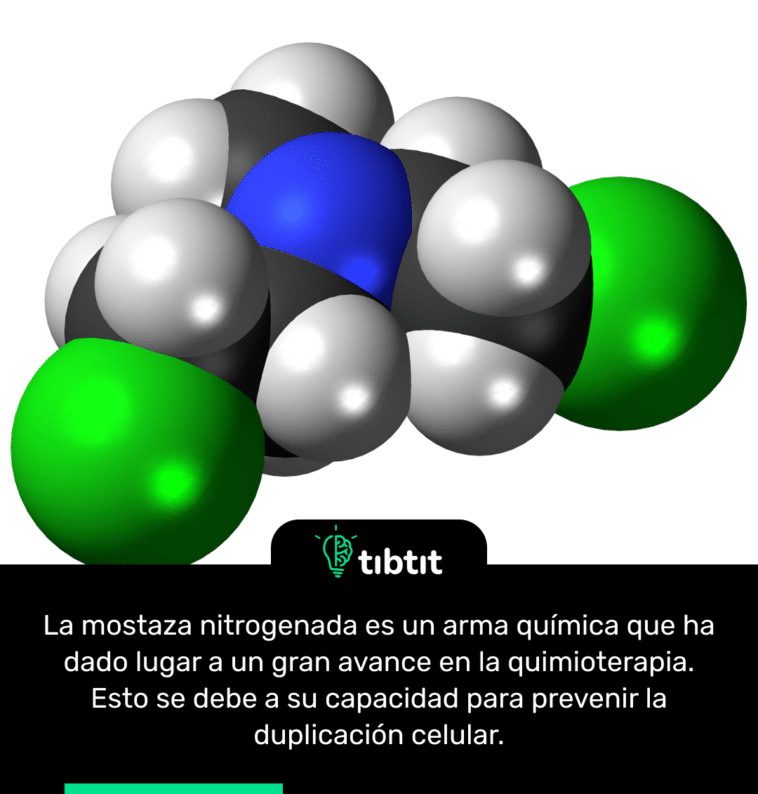 La mostaza nitrogenada es un arma química que ha dado lugar a un gran avance en la quimioterapia. Esto se debe a su capacidad para prevenir la duplicación celular.