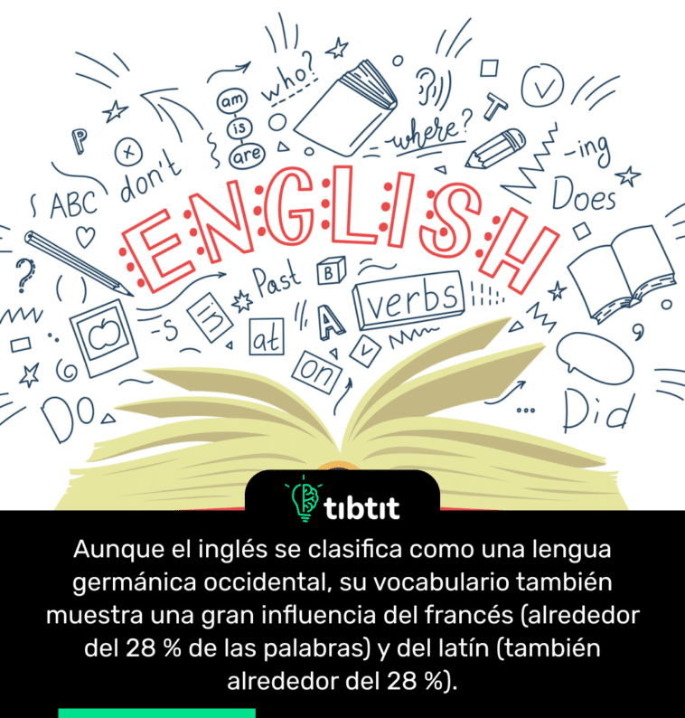 Aunque el inglés se clasifica como una lengua germánica occidental, su vocabulario también muestra una gran influencia del francés (alrededor del 28 % de las palabras) y del latín (también alrededor del 28 %).