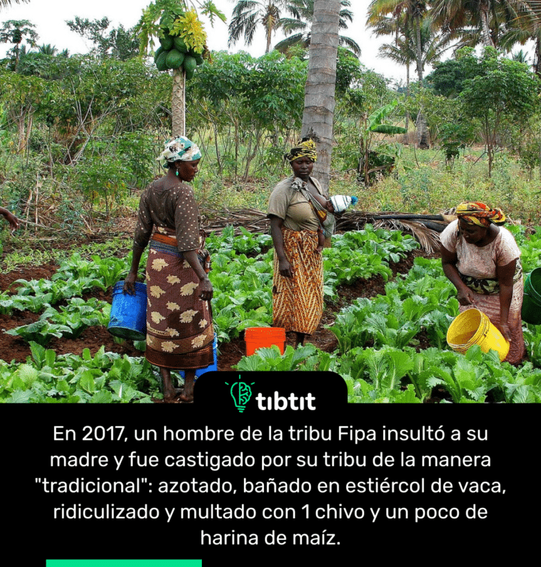 En 2017, un hombre de la tribu Fipa insultó a su madre y fue castigado por su tribu de la manera "tradicional": azotado, bañado en estiércol de vaca, ridiculizado y multado con 1 chivo y un poco de harina de maíz.