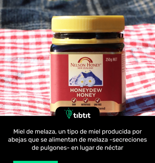 Miel de melaza, un tipo de miel producida por abejas que se alimentan de melaza -secreciones de pulgones- en lugar de néctar