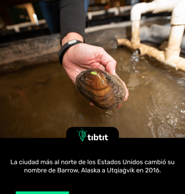 La ciudad más al norte de los Estados Unidos cambió su nombre de Barrow, Alaska a Utqiaġvik en 2016.