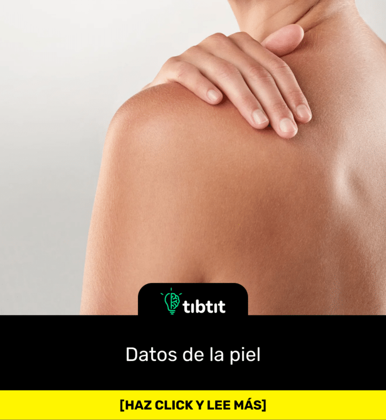 Datos de la piel