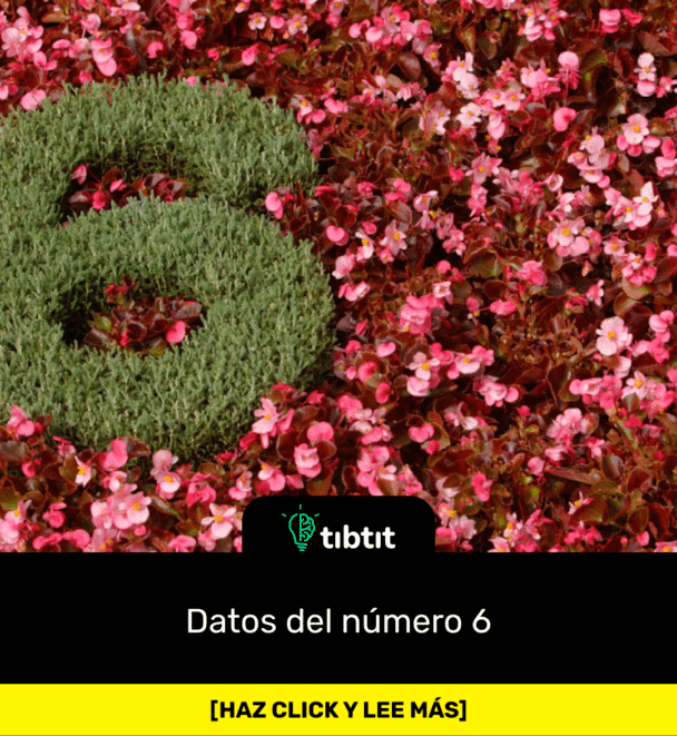 Datos del número 6