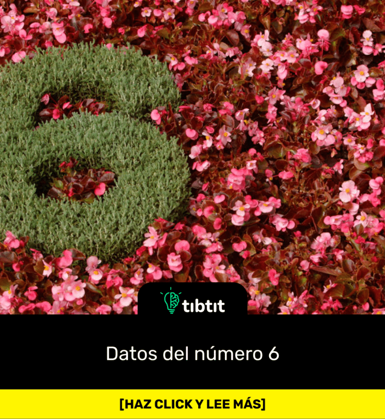 Datos del número 6