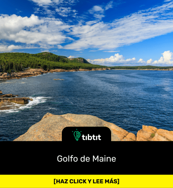 Golfo de Maine