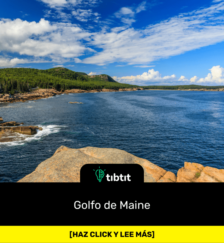 Golfo de Maine