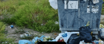 Hechos sobre tirar basura