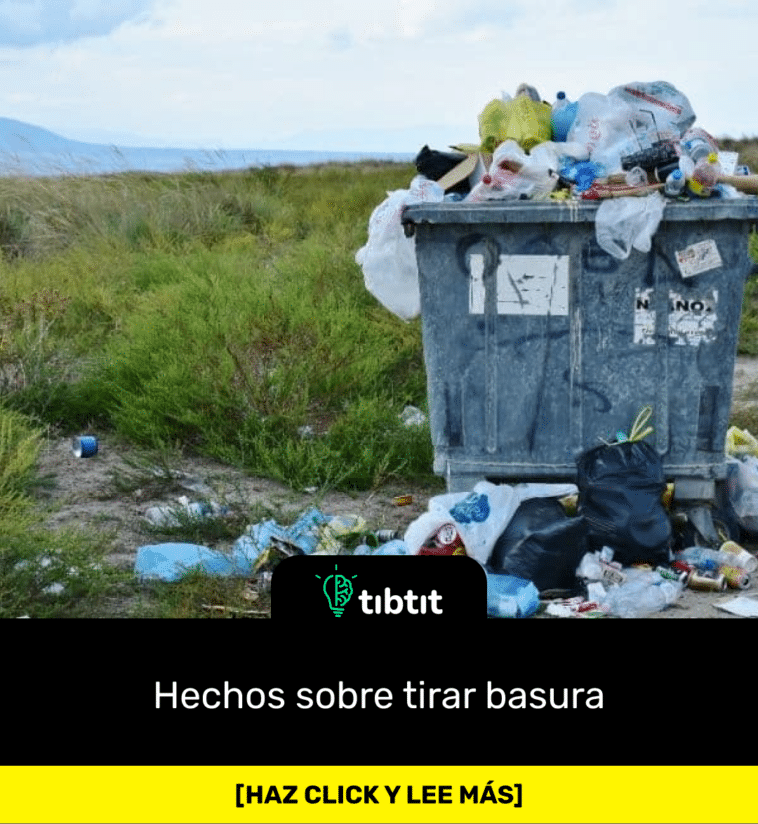 Hechos sobre tirar basura
