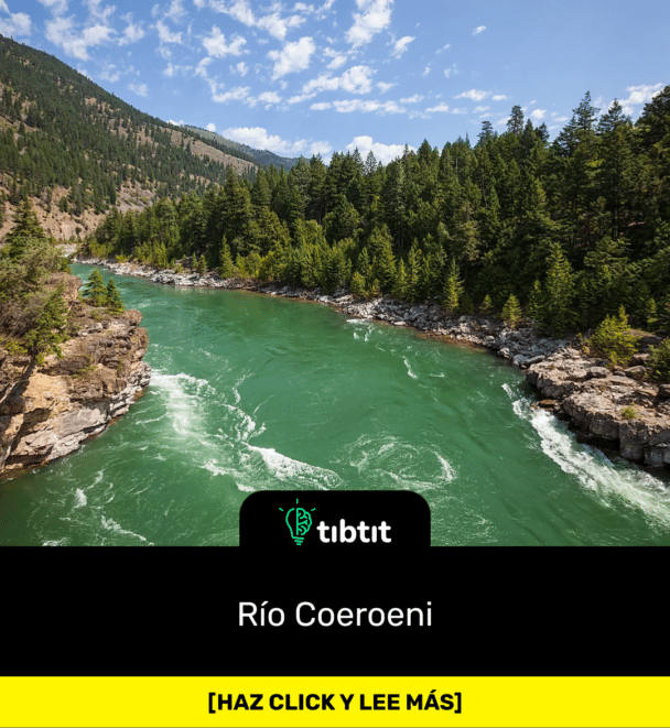 Río Coeroeni