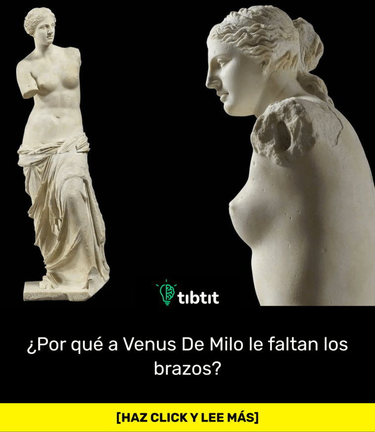 ¿Por qué a Venus De Milo le faltan los brazos?
