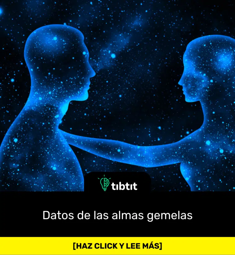 Datos de las almas gemelas