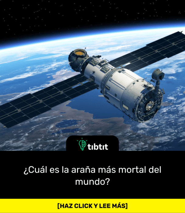15 de las cosas más raras que hemos lanzado al espacio