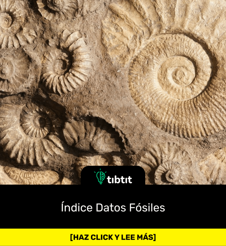 Índice Datos Fósiles