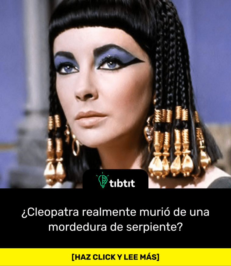¿Cleopatra realmente murió de una mordedura de serpiente?