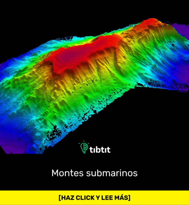 Montes submarinos