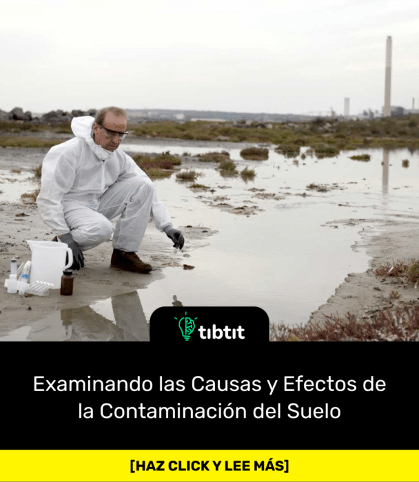 Examinando las Causas y Efectos de la Contaminación del Suelo