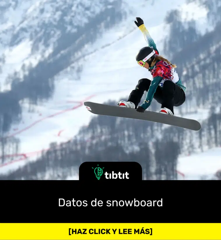 Datos de snowboard
