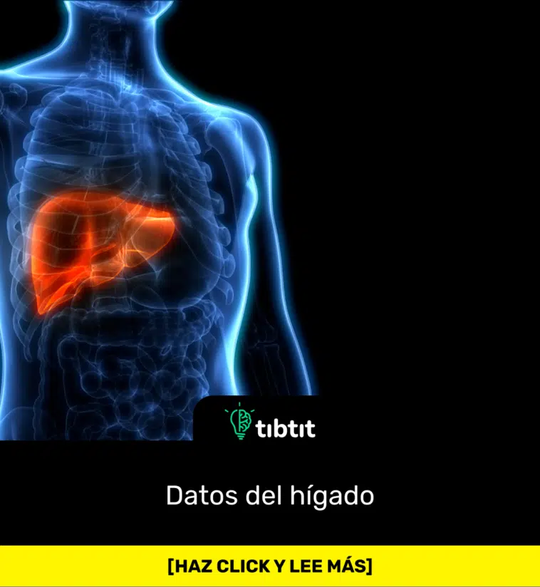 Datos del hígado