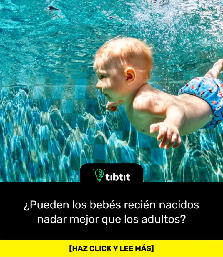 ¿Pueden los bebés recién nacidos nadar mejor que los adultos?