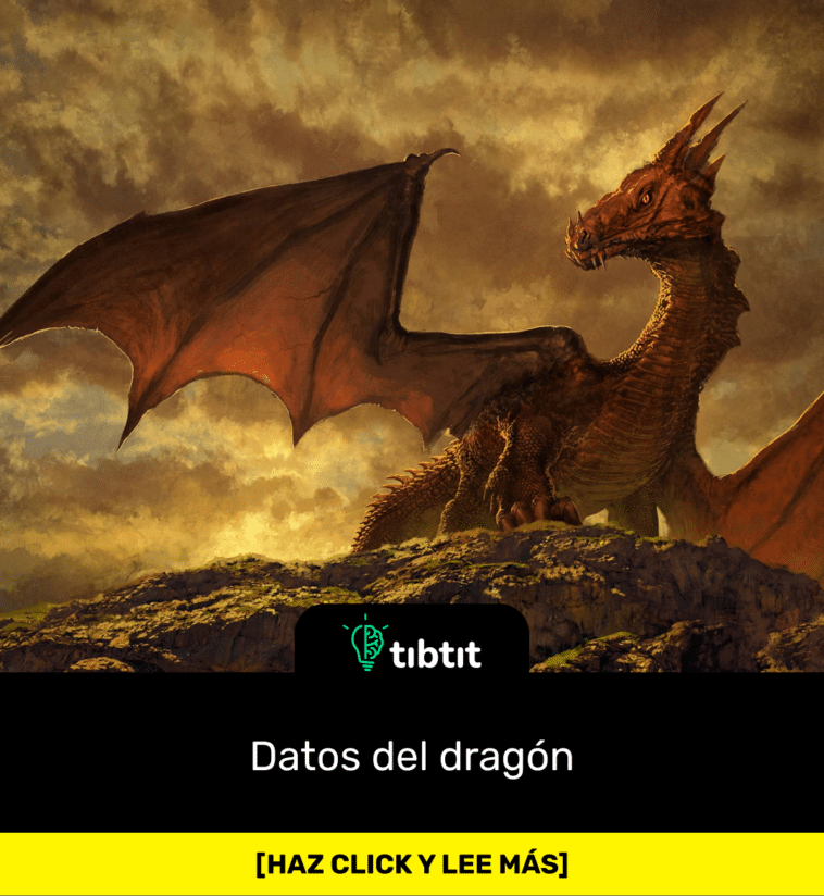 Datos del dragón