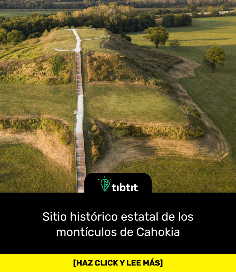 Sitio histórico estatal de los montículos de Cahokia