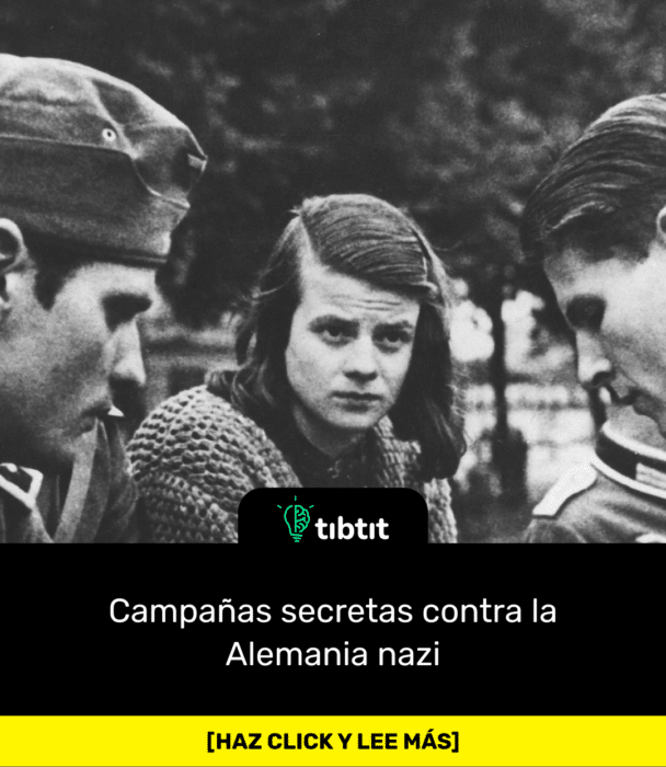 Campañas secretas contra la Alemania nazi