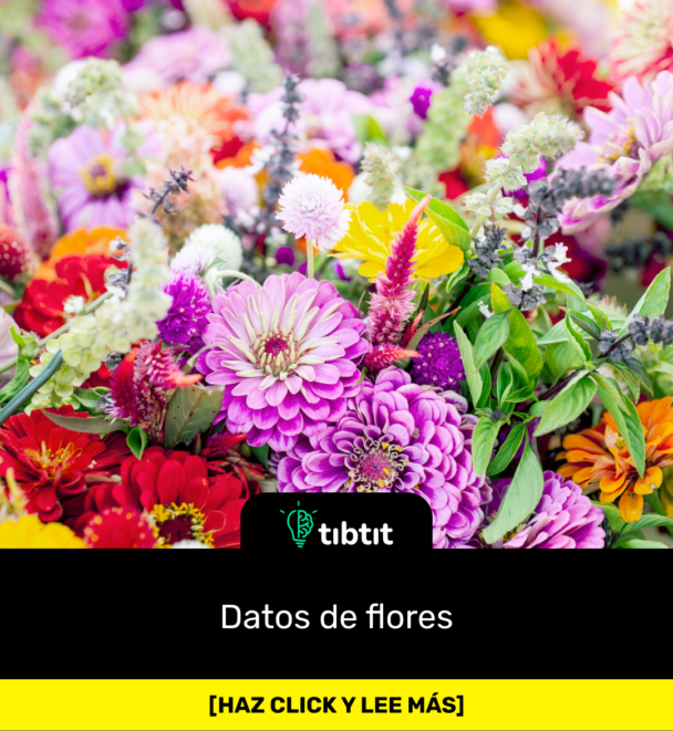 Datos de flores