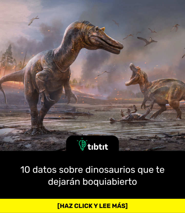 10 datos sobre dinosaurios que te dejarán boquiabierto