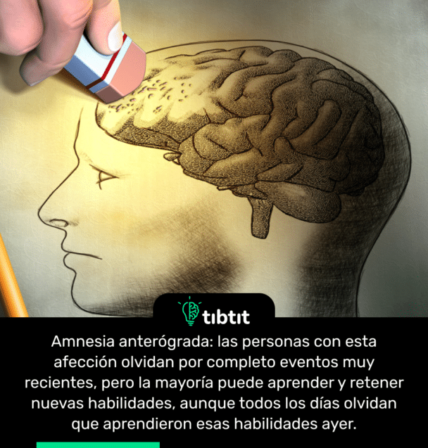Amnesia anterógrada: las personas con esta afección olvidan por completo eventos muy recientes, pero la mayoría puede aprender y retener nuevas habilidades, aunque todos los días olvidan que aprendieron esas habilidades ayer.