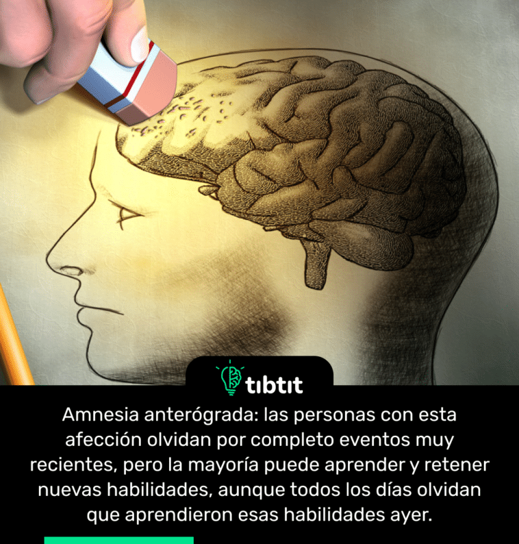 Amnesia anterógrada: las personas con esta afección olvidan por completo eventos muy recientes, pero la mayoría puede aprender y retener nuevas habilidades, aunque todos los días olvidan que aprendieron esas habilidades ayer.
