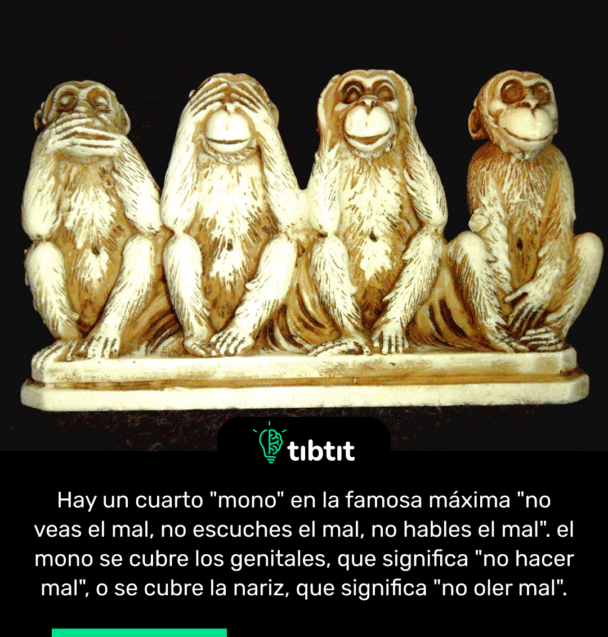 Hay un cuarto "mono" en la famosa máxima "no veas el mal, no escuches el mal, no hables el mal". el mono se cubre los genitales, que significa "no hacer mal", o se cubre la nariz, que significa "no oler mal".