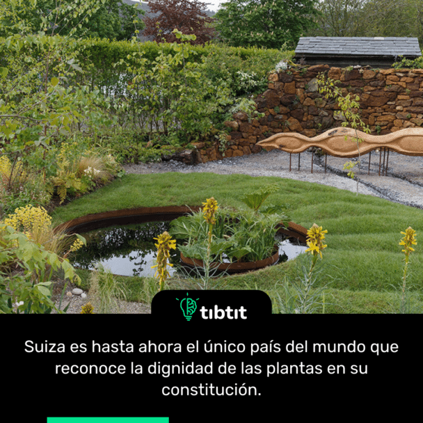 Suiza es hasta ahora el único país del mundo que reconoce la dignidad de las plantas en su constitución.