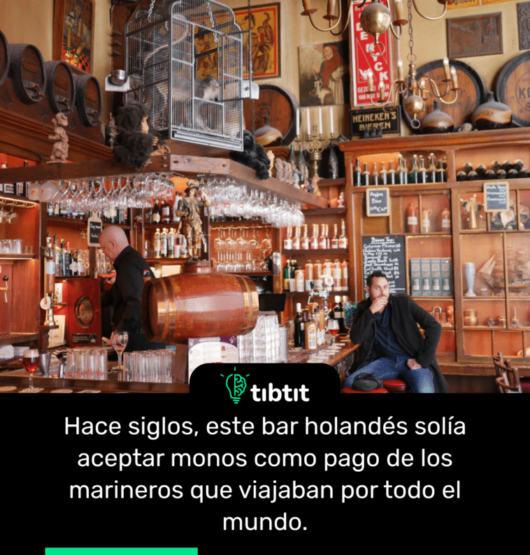 Hace siglos, este bar holandés solía aceptar monos como pago de los marineros que viajaban por todo el mundo.