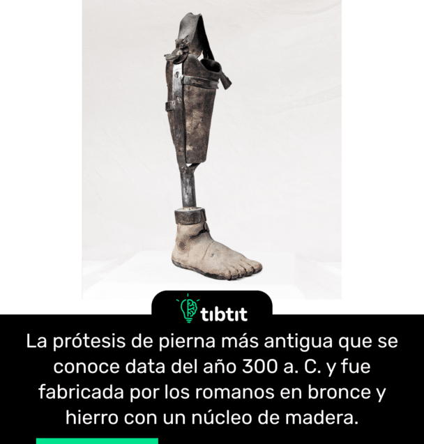 La prótesis de pierna más antigua que se conoce data del año 300 a. C. y fue fabricada por los romanos en bronce y hierro con un núcleo de madera.