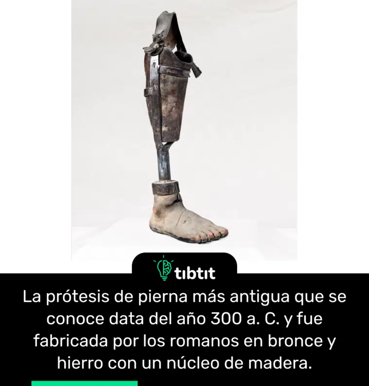 La prótesis de pierna más antigua que se conoce data del año 300 a. C. y fue fabricada por los romanos en bronce y hierro con un núcleo de madera.