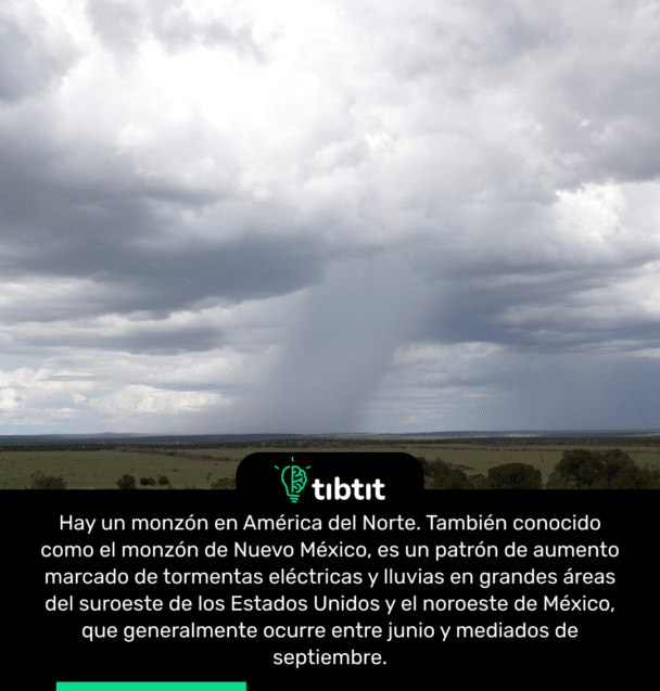 Hay un monzón en América del Norte. También conocido como el monzón de Nuevo México, es un patrón de aumento marcado de tormentas eléctricas y lluvias en grandes áreas del suroeste de los Estados Unidos y el noroeste de México, que generalmente ocurre entre junio y mediados de septiembre.