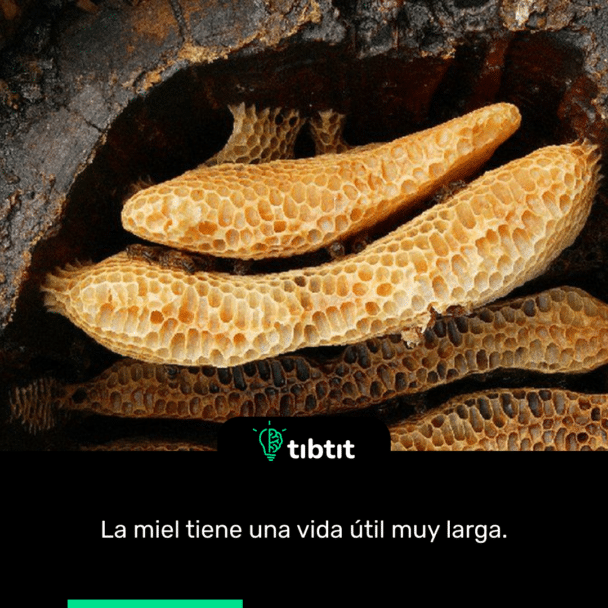 La miel tiene una vida útil muy larga.