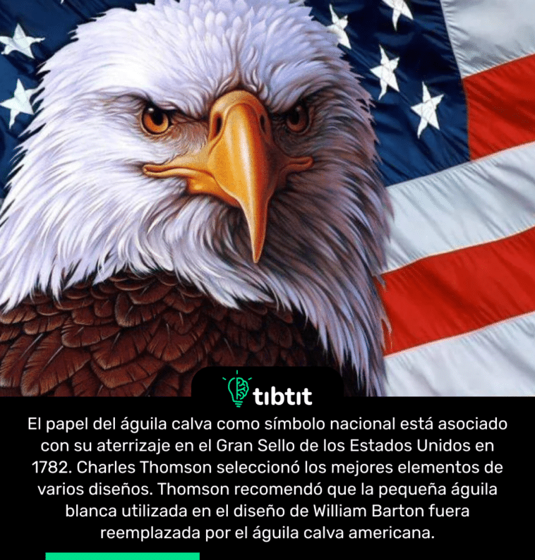 El papel del águila calva como símbolo nacional está asociado con su aterrizaje en el Gran Sello de los Estados Unidos en 1782. Charles Thomson seleccionó los mejores elementos de varios diseños. Thomson recomendó que la pequeña águila blanca utilizada en el diseño de William Barton fuera reemplazada por el águila calva americana.