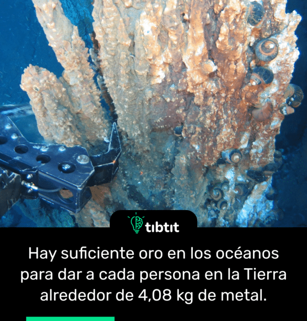 Hay suficiente oro en los océanos para dar a cada persona en la Tierra alrededor de 4,08 kg de metal.
