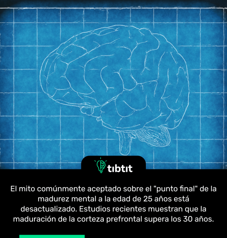 El mito comúnmente aceptado sobre el "punto final" de la madurez mental a la edad de 25 años está desactualizado. Estudios recientes muestran que la maduración de la corteza prefrontal supera los 30 años.