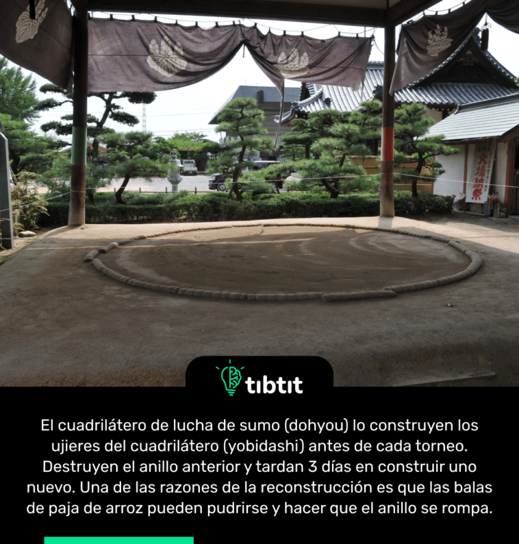 El cuadrilátero de lucha de sumo (dohyou) lo construyen los ujieres del cuadrilátero (yobidashi) antes de cada torneo. Destruyen el anillo anterior y tardan 3 días en construir uno nuevo. Una de las razones de la reconstrucción es que las balas de paja de arroz pueden pudrirse y hacer que el anillo se rompa.
