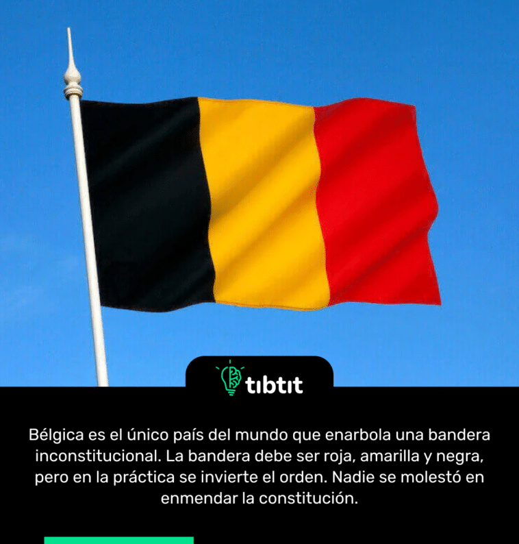 Bélgica es el único país del mundo que enarbola una bandera inconstitucional. La bandera debe ser roja, amarilla y negra, pero en la práctica se invierte el orden. Nadie se molestó en enmendar la constitución.