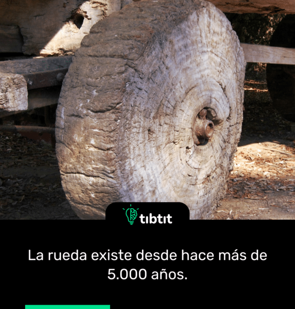 La rueda existe desde hace más de 5.000 años.