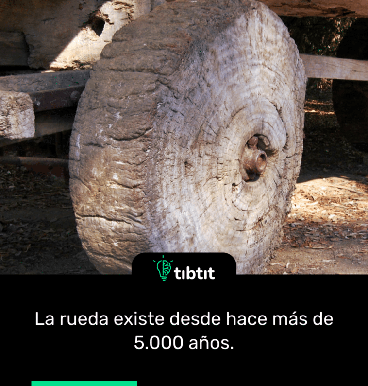 La rueda existe desde hace más de 5.000 años.