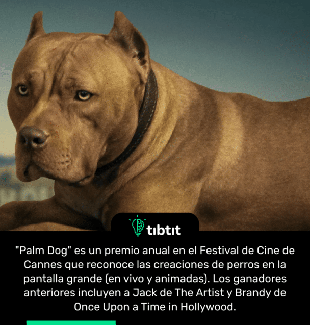 "Palm Dog" es un premio anual en el Festival de Cine de Cannes que reconoce las creaciones de perros en la pantalla grande (en vivo y animadas). Los ganadores anteriores incluyen a Jack de The Artist y Brandy de Once Upon a Time in Hollywood.