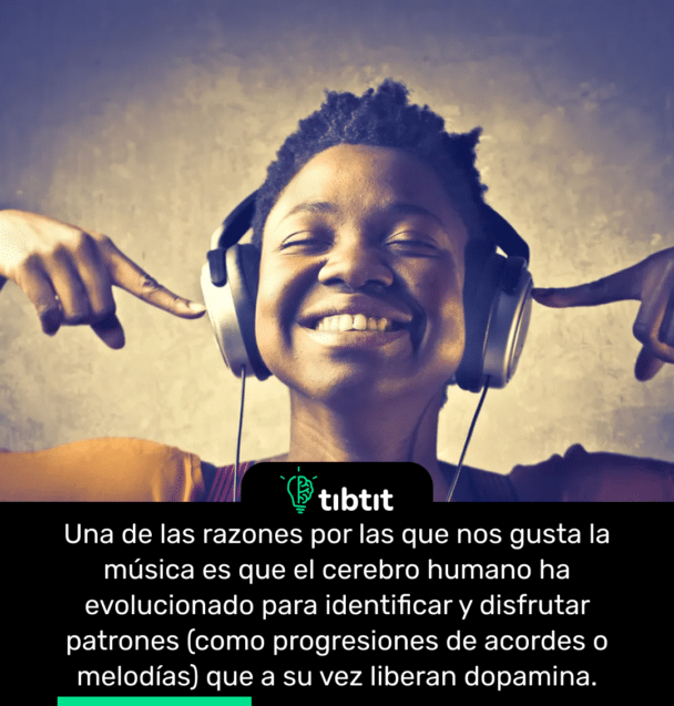 Una de las razones por las que nos gusta la música es que el cerebro humano ha evolucionado para identificar y disfrutar patrones (como progresiones de acordes o melodías) que a su vez liberan dopamina.