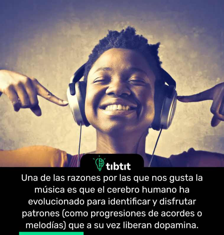Una de las razones por las que nos gusta la música es que el cerebro humano ha evolucionado para identificar y disfrutar patrones (como progresiones de acordes o melodías) que a su vez liberan dopamina.